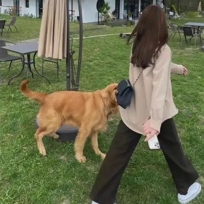 机器战犬